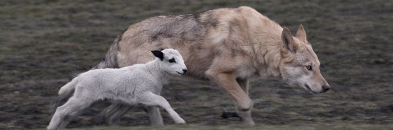 Kenoproxy.skr banner