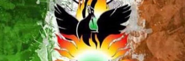 shebeenofficial Profile Banner