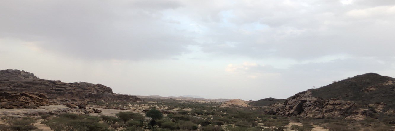 shabnan2020's profile banner image