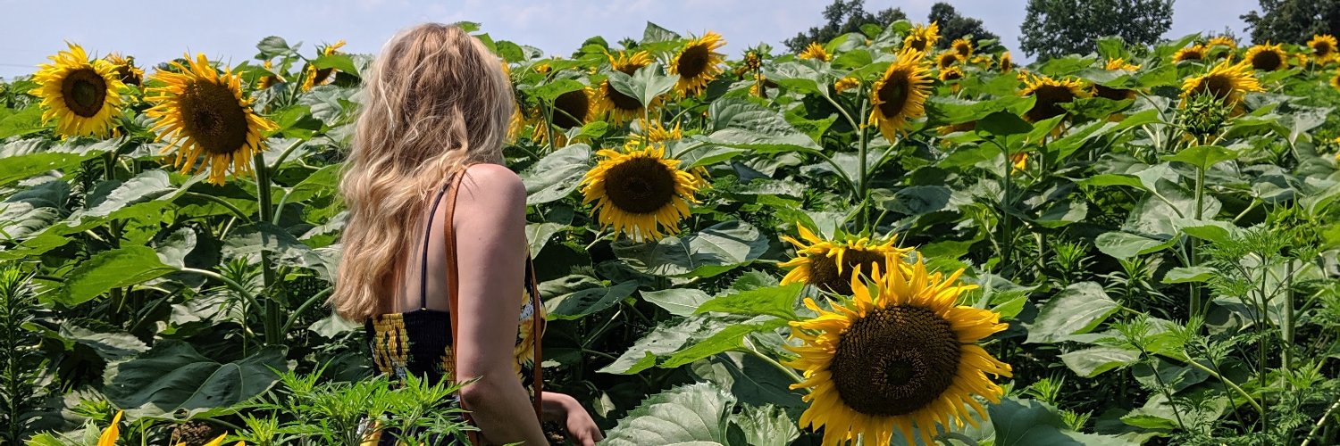 emillymiller's profile banner image