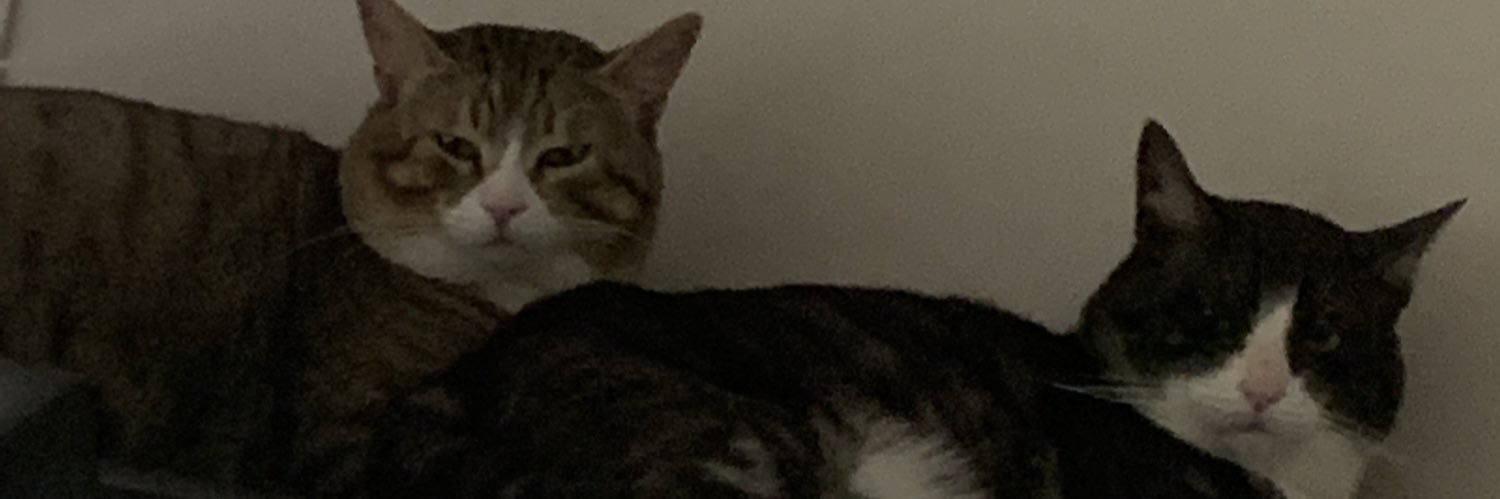 ryanwashacked's profile banner image
