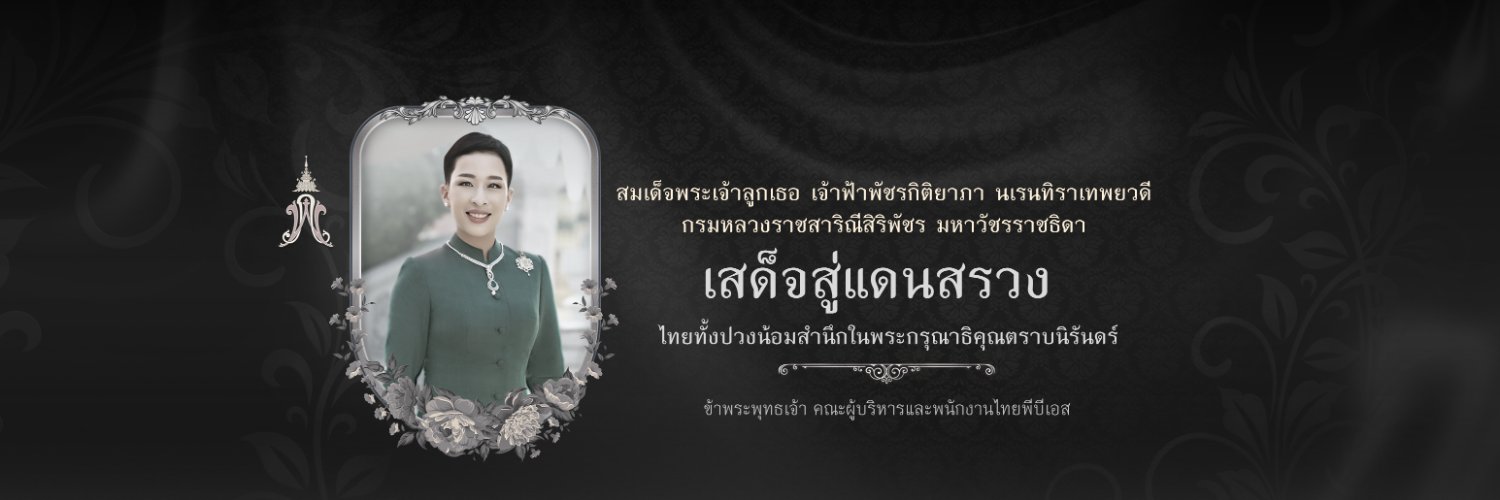 ThaipbsN's profile banner image