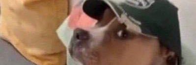 big_Chaserr's profile banner image