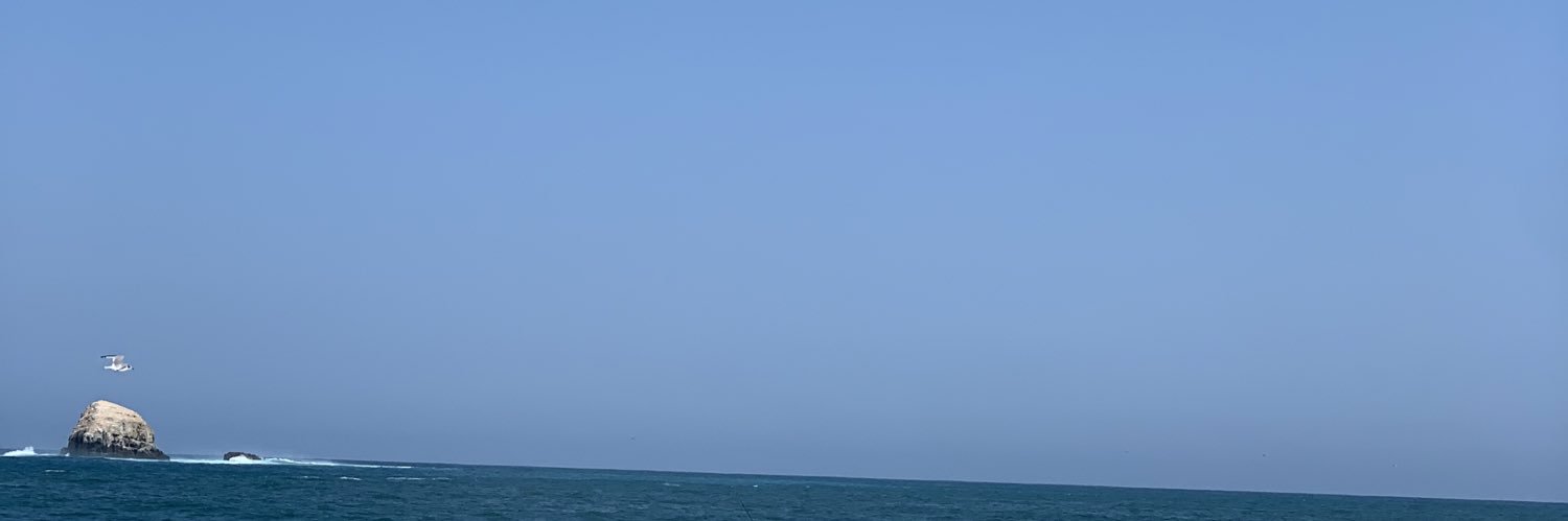 nnexistentacc's profile banner image