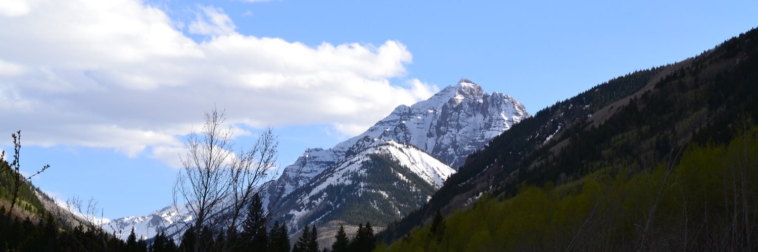 Survived The Snap banner