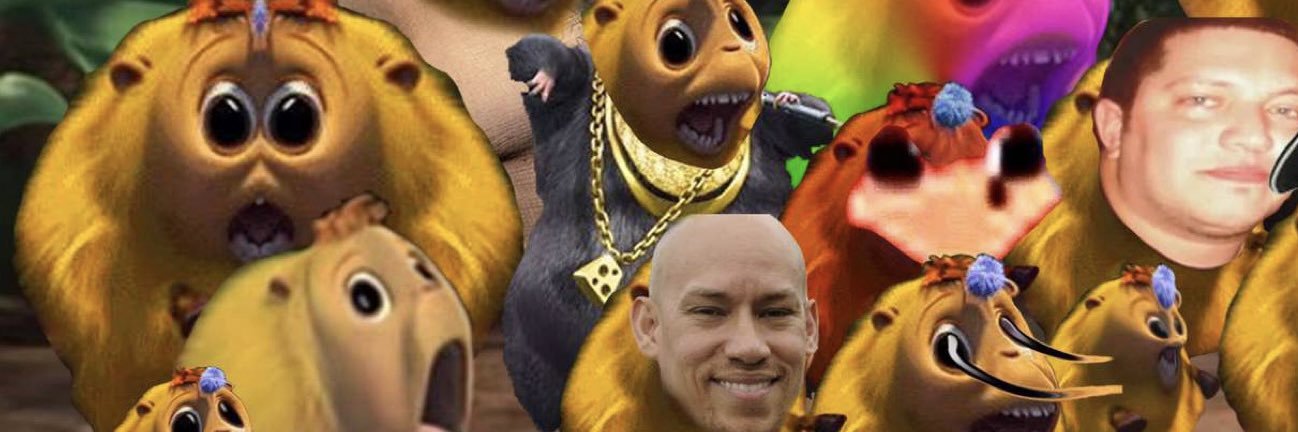 FlySquirreI's profile banner image