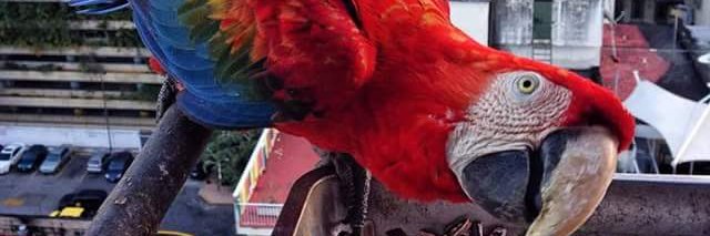 ProfeDannyffer's profile banner image
