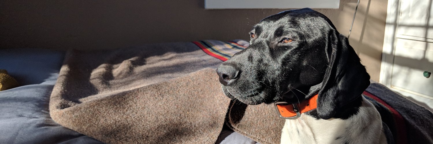 Hugh O'Donnell banner