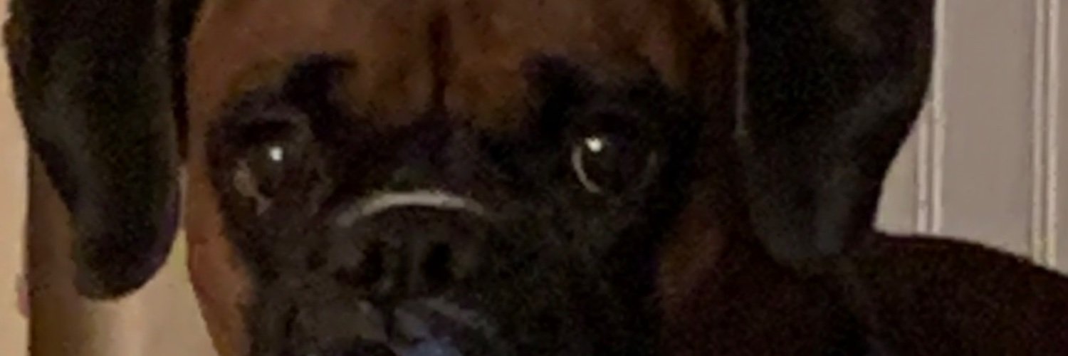Jammie banner