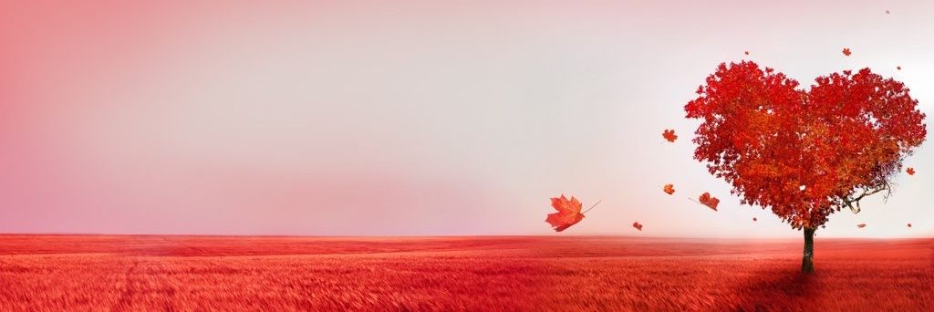 angelirob's profile banner image