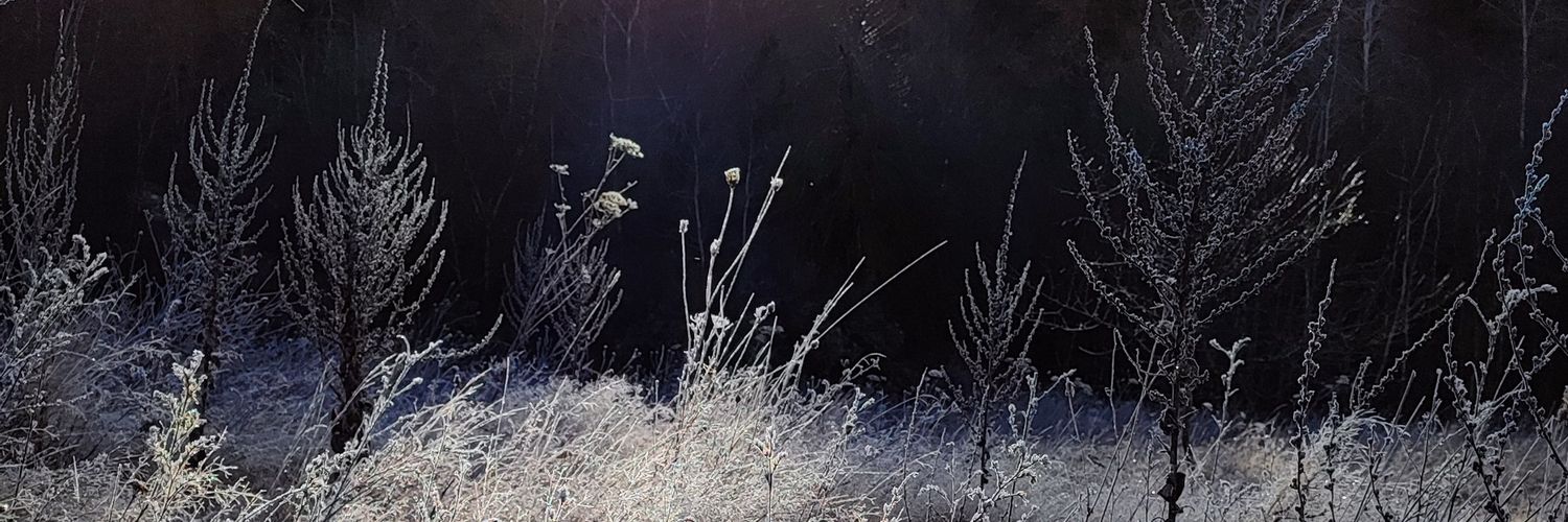 lamolidesign's profile banner image
