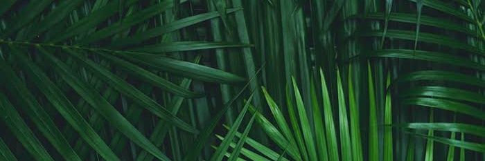 hilosima's profile banner image