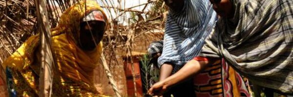 Environment2015 Profile Banner