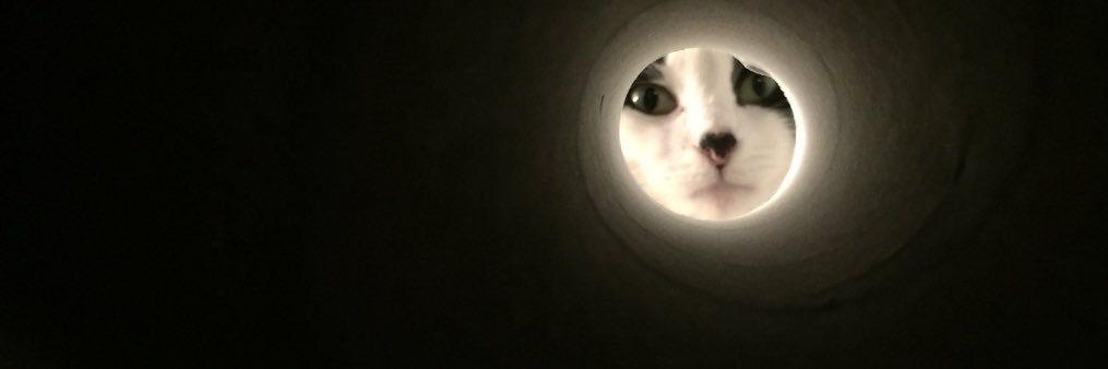 carriekeef's profile banner image