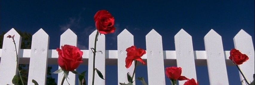 twylorswiftt's profile banner image