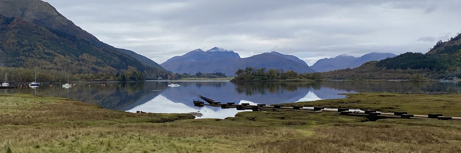 Lᴀᴜʀᴇɴ 🦩 banner