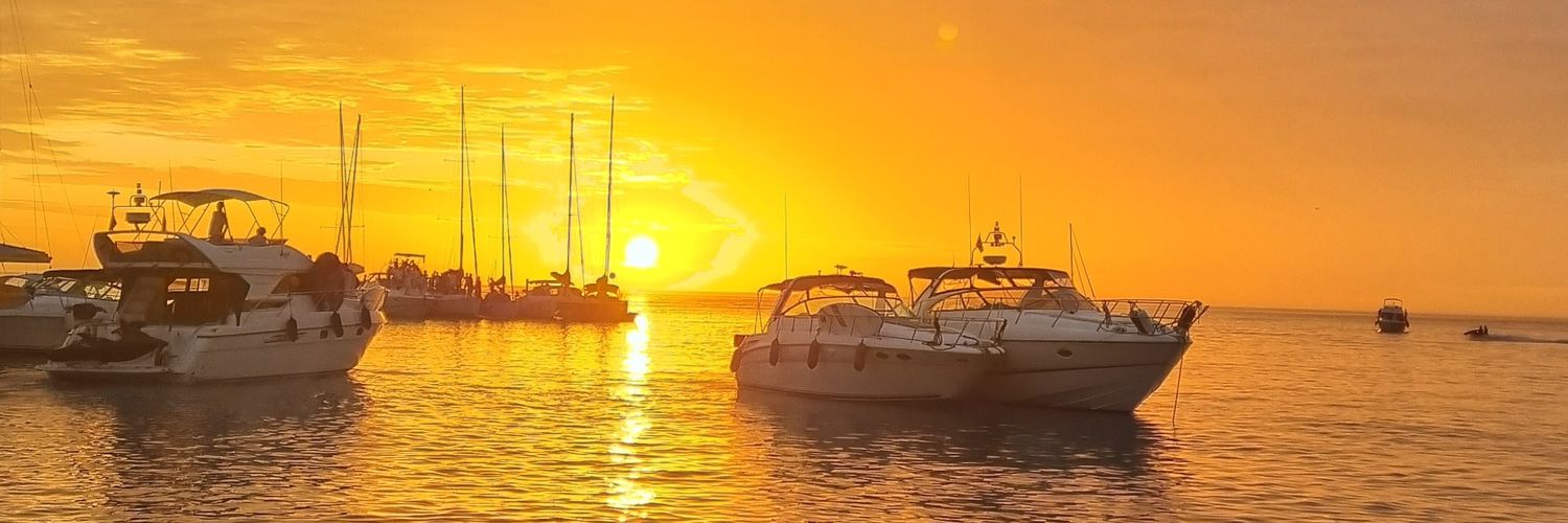 Ana Laura Román banner