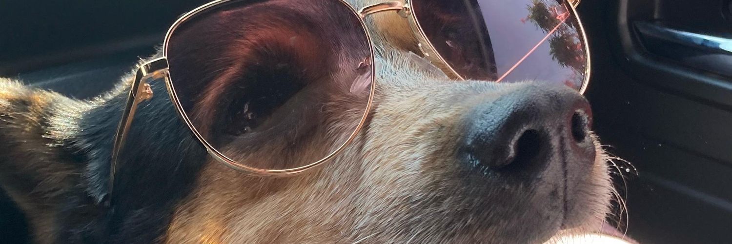 AnaCCordero's profile banner image