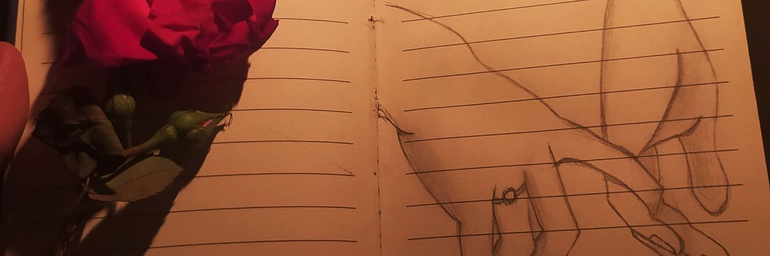 AleemMuzdah's profile banner image