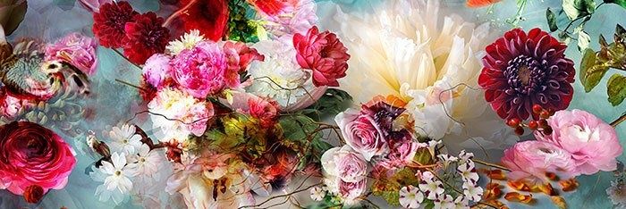 Sonja banner