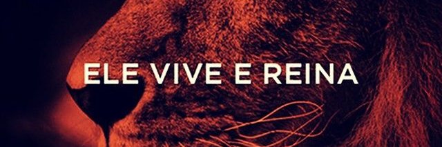 brendalavinia's profile banner image