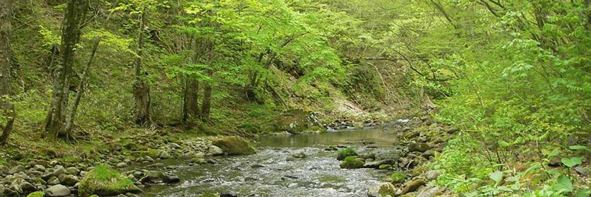 beadriver's profile banner image