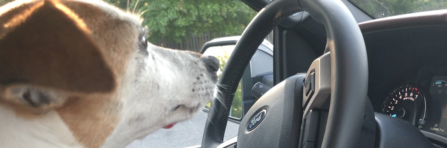 RazzMrs's profile banner image