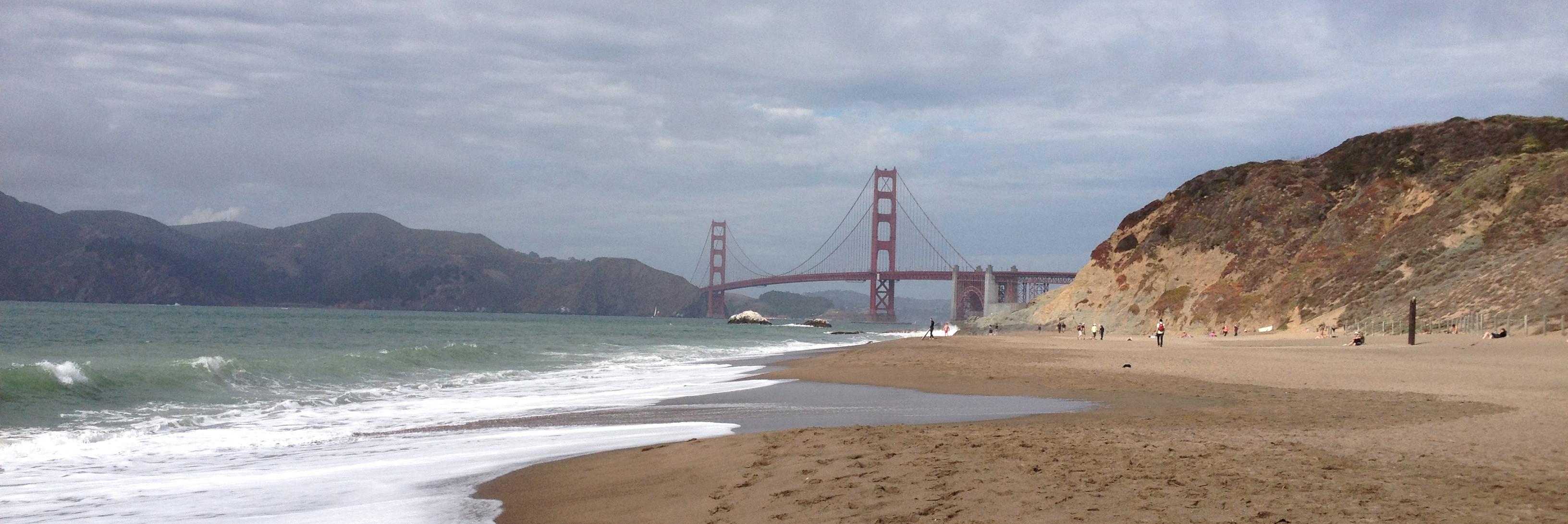 Michelle Trautwein banner