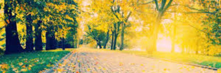 araf071's profile banner image