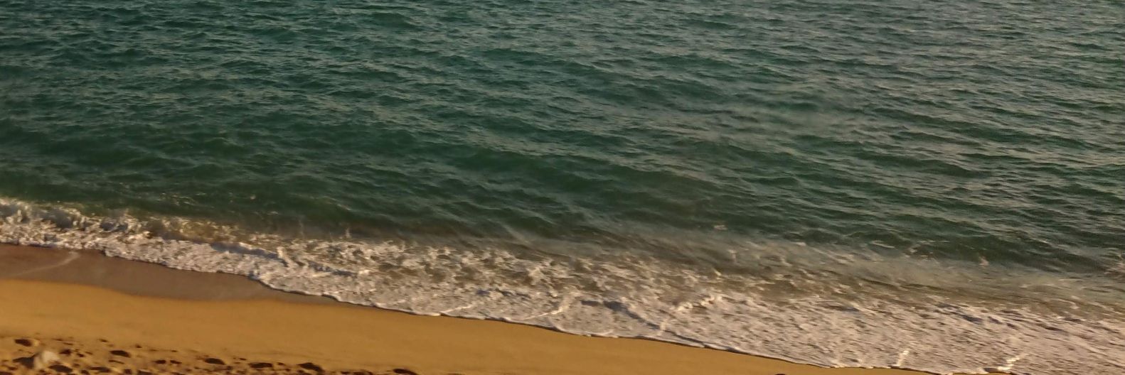 leonel_abreu's profile banner image