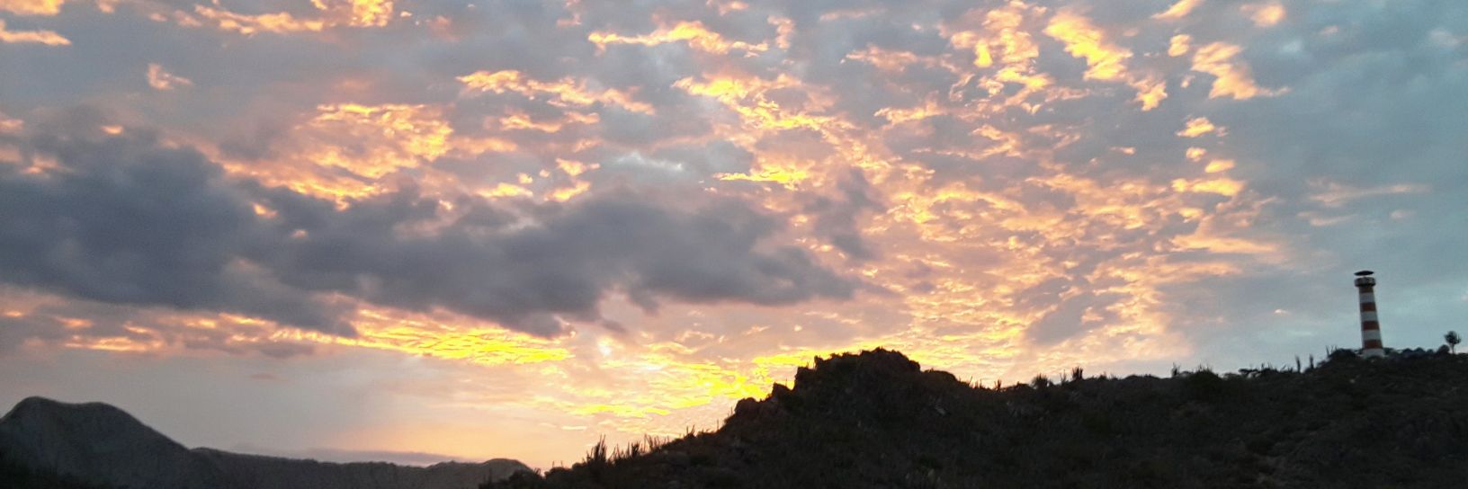 BarbieLovera's profile banner image