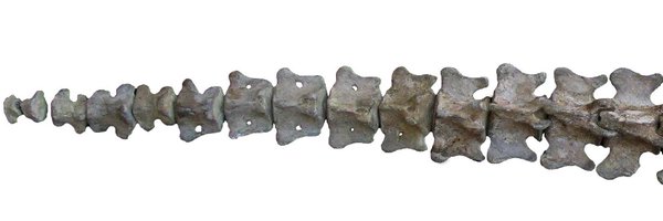 AmsonEli Profile Banner