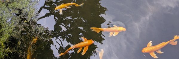 LerrelPinto Profile Banner