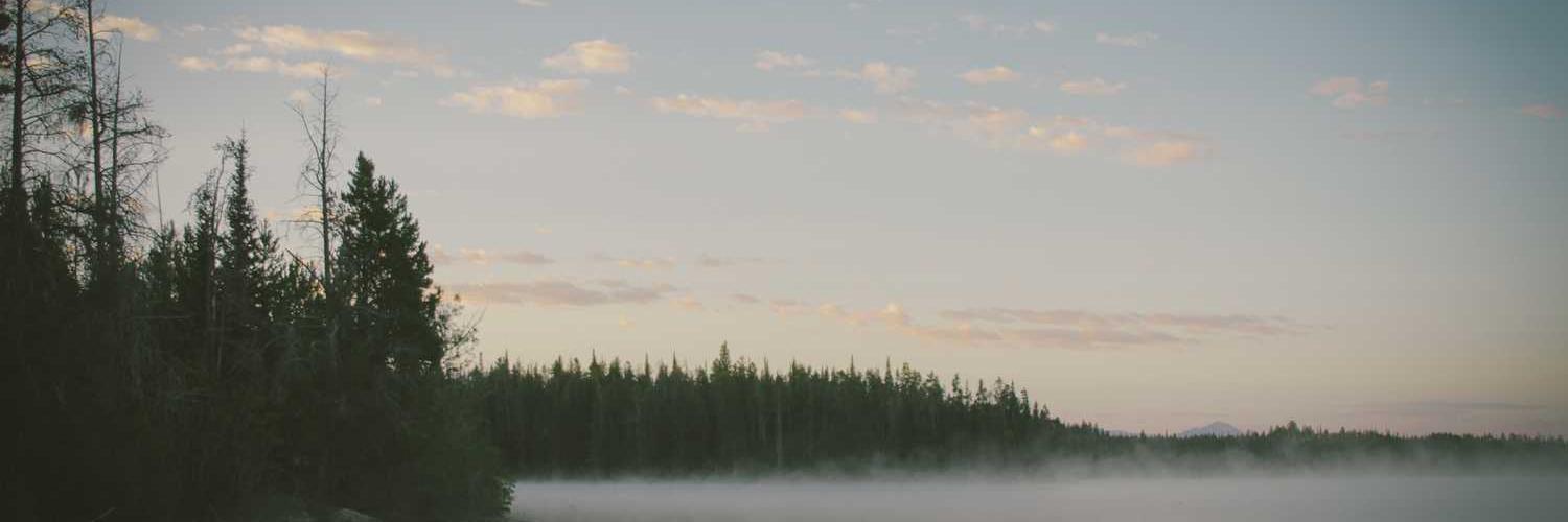 Nadoshb66's profile banner image