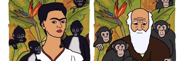 PsychedDiego Profile Banner