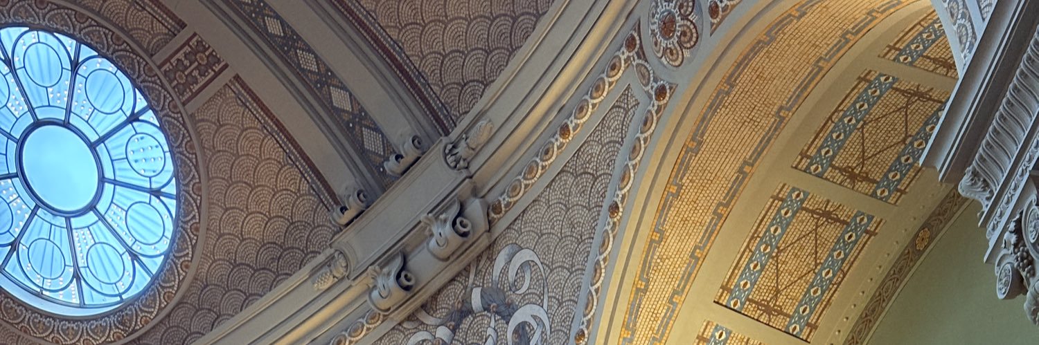 nellalanena's profile banner image