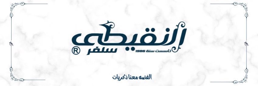 alnekitysilver's profile banner image