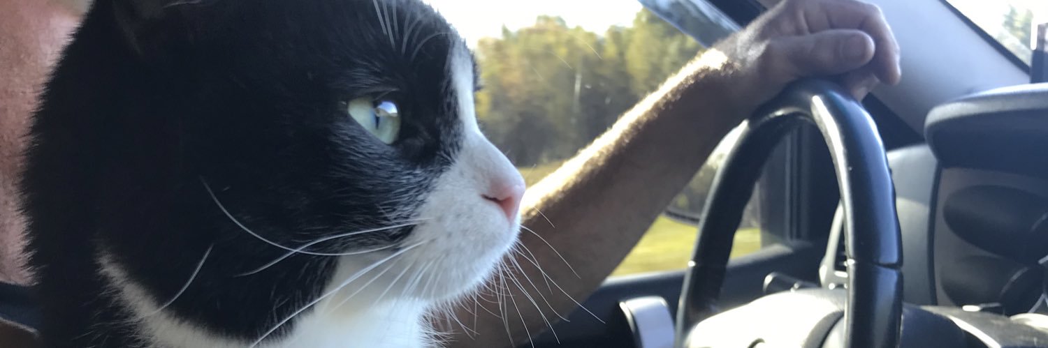 Live That Life banner