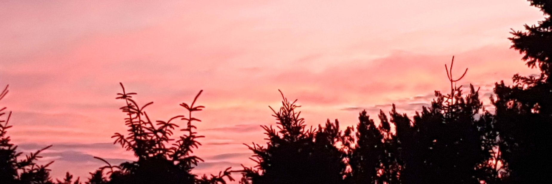 BullockKathie's profile banner image
