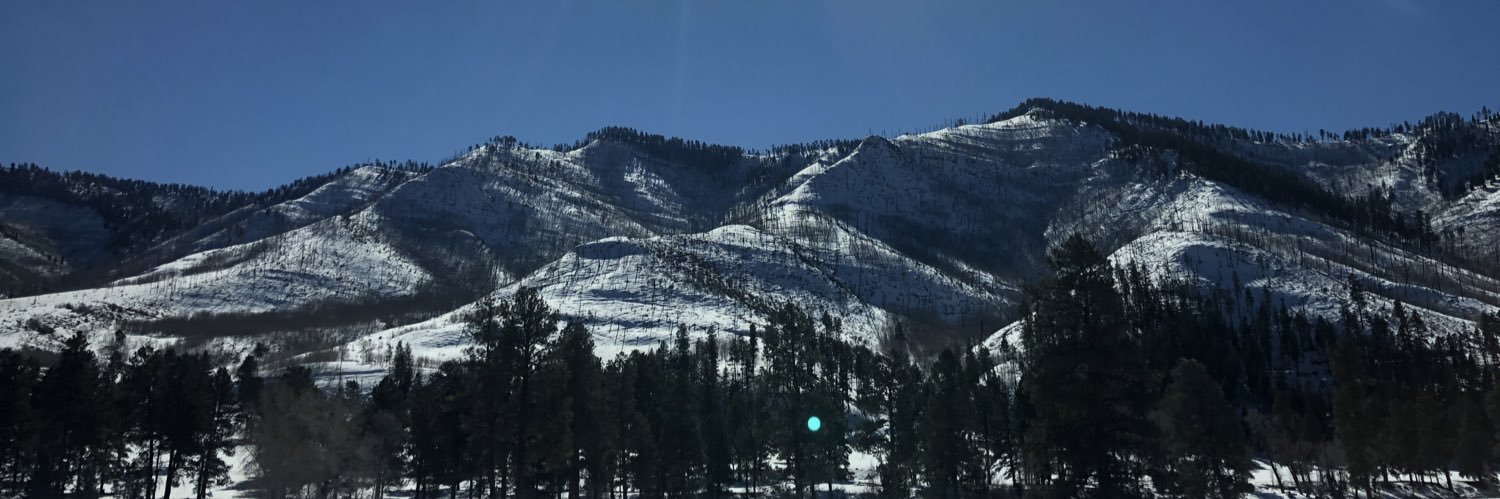 BelleMichelle98's profile banner image