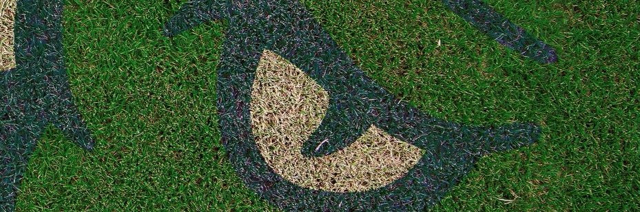 Swampgator95's profile banner image