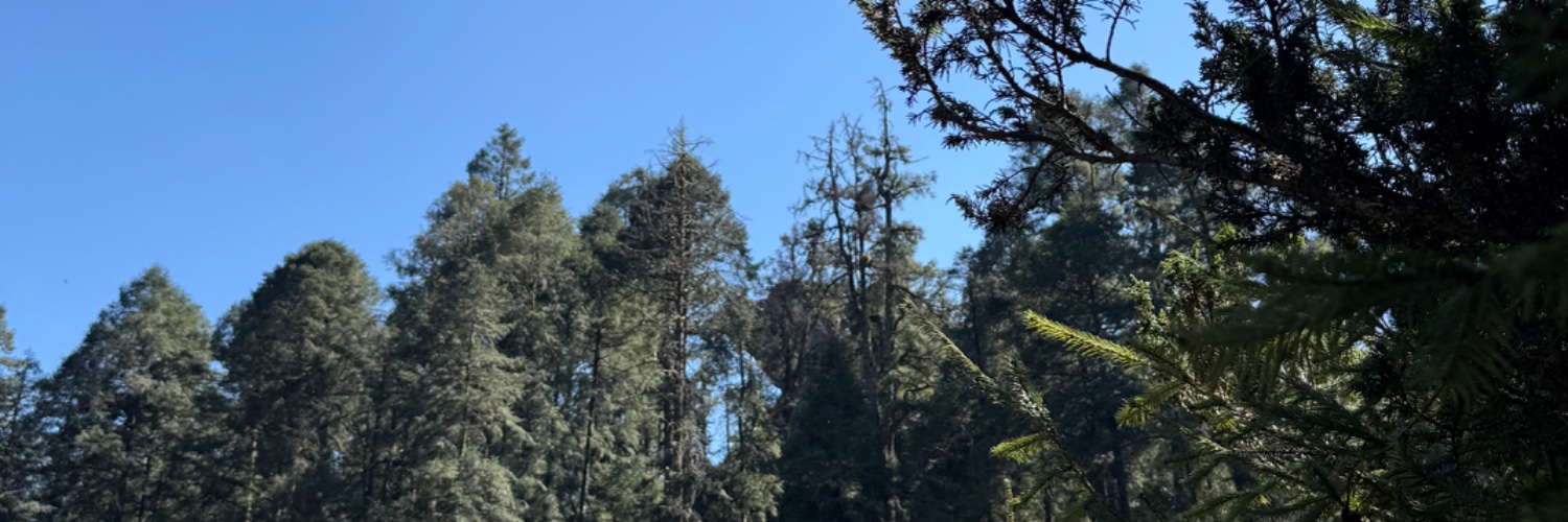 AnaEstudillo's profile banner image