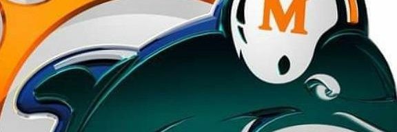 Raven 13 banner