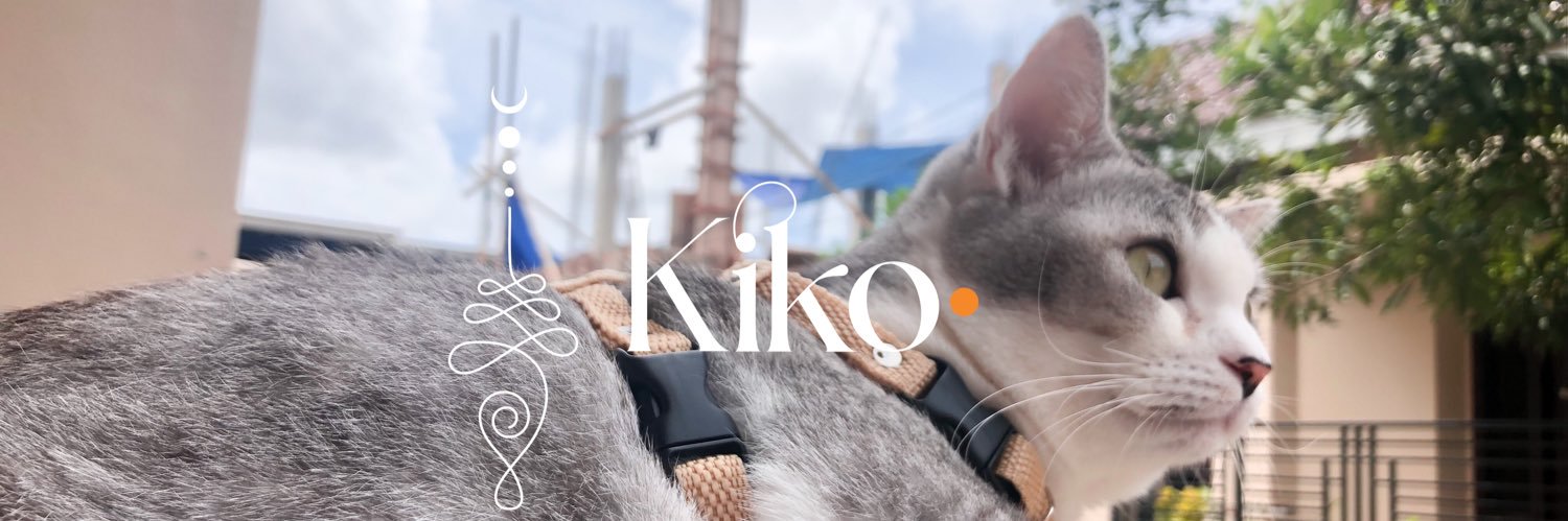 rikaaNF's profile banner image