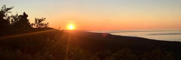 mnjohan Profile Banner