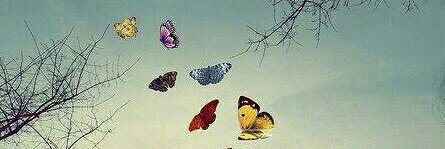AHBK53's profile banner image