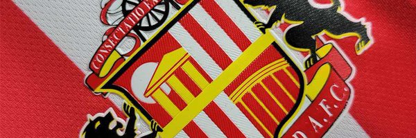 SunderHawks Profile Banner