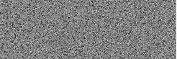 PCF_uiowa Profile Banner