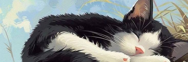 kenyapm's profile banner image