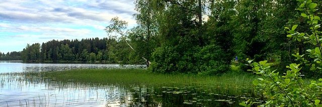 mervasny's profile banner image
